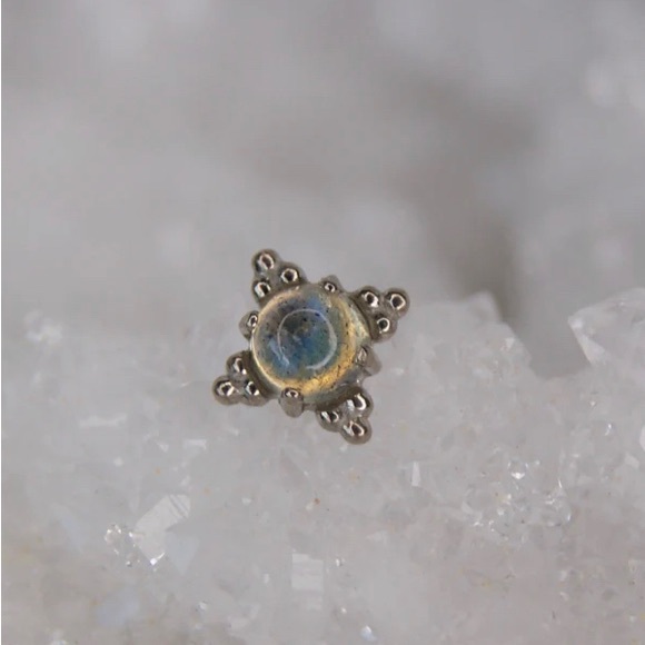 Anatometal “Zia” End 4mm White gold & labradorite - Picture 2 of 7